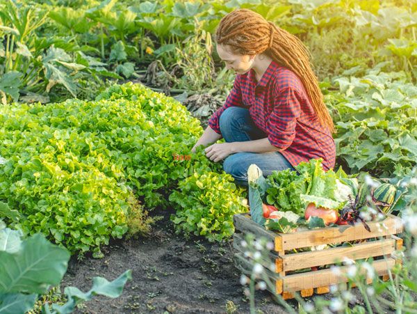 Les producteurs locaux et bio de Servon et sa région